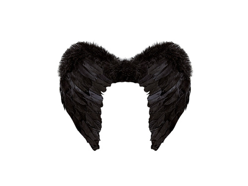 Fekete tollszárnyak 50×40 cm