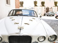 Autódíszek készlete Íjak - 5 elem.