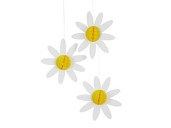 Százszorszép rozetták - 3 db.