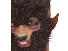 Vérfarkas fül - 1 db.