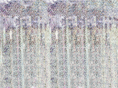 Holografikus ajtófüggöny - 100 x 200 cm