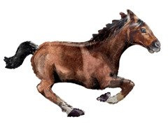 Galoppáló ló fólialufi - 101 cm - 1 db.