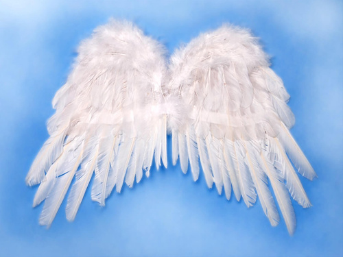 Fehér angyalszárnyak - 50 x 35 cm - 1 db.