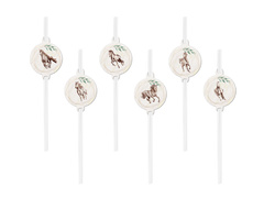 Születésnapi szívószálak lovak - 6 db.