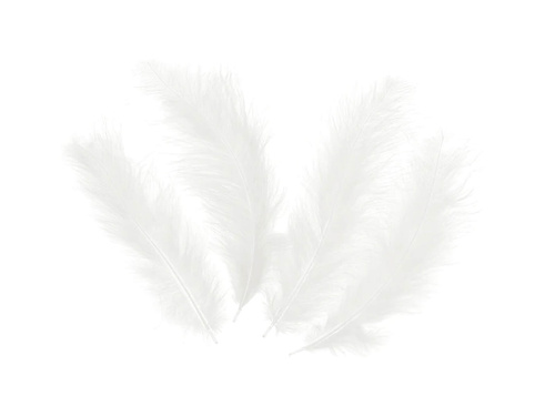 Dekoratív fehér hosszú tollak - 50 db.