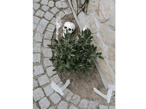 Zakopane csontváz Halloween dekoráció készlet