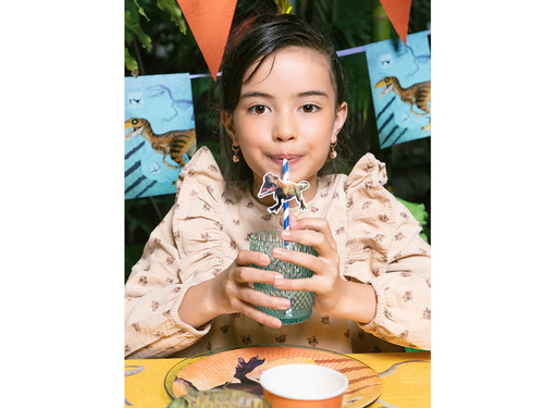 T-Rex papír szívószálak - 20 cm - 6 db.