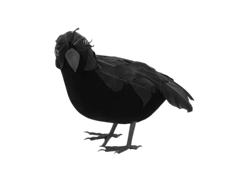 Varjú dekoráció fekete - 1 db.