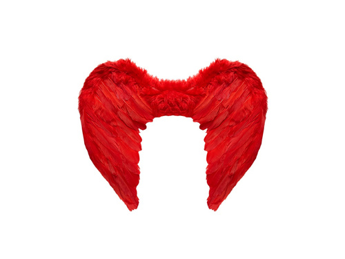 Vörös tollszárnyak 50×40 cm