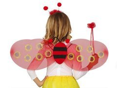 Katicabogár készlet