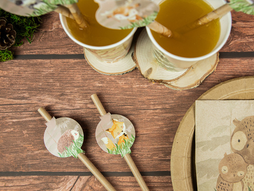 Születésnapi szívószálak Erdei állatok - 6 db.