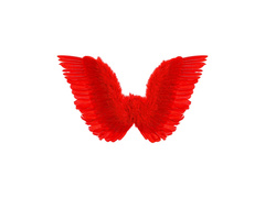 Vörös tollszárnyak 78×36 cm