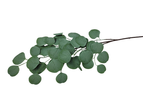 Eukaliptusz dekorációs ág - 76 cm - 1 db.