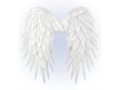 Fehér angyalszárnyak - 50 x 50 cm - 1 db.