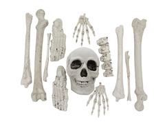 Csontok zsákja - 12 tétel.