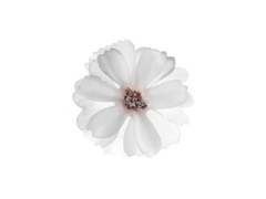 Fehér virágszirmok - 12 db.