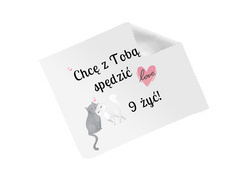 Szemüvegtakaró 9 élet - 1 db.