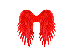Piros összecsukható tollszárnyak 50×50 cm
