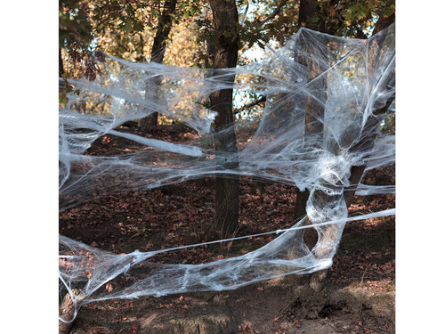 Pókháló 25 pókkal - 500 g - 1 op.