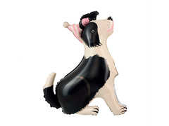 Border Collie kutya álló fólialufi - 76x92 cm - 1 db.