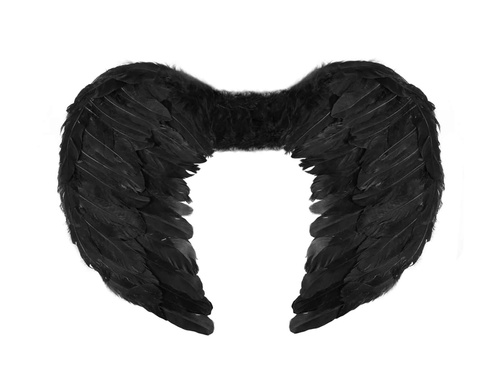 Fekete angyalszárnyak - 54 x 37 cm - 1 db.