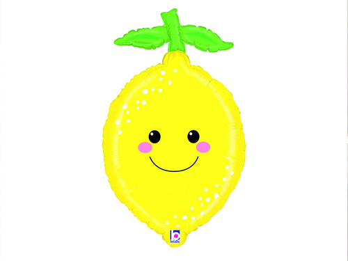 Citromos fólialufi - 74 cm - 1 db.