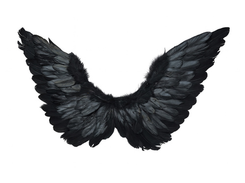 Fekete angyalszárnyak glóriával - 72 x 40 cm - 1 db.