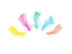 Dekoratív tollak mix színek rövid - 50 db.