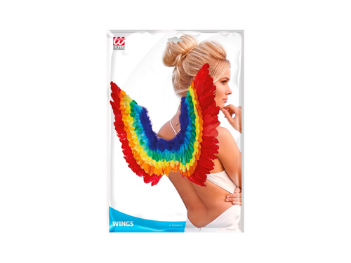 Szivárványos tollszárnyak 60×40 cm