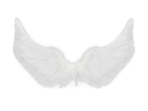 Angyalszárny készlet fehér 62 x 38 cm és Aureole