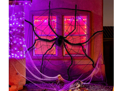 Pókháló pókkal - 1 op.