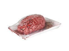 Mesterséges agy tálcán - 1 db.