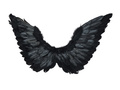 Fekete angyalszárnyak glóriával - 72 x 40 cm - 1 db.