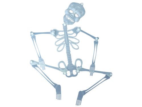 Fluoreszkáló függő dekoráció Skeleton - 75 cm - 1 db.