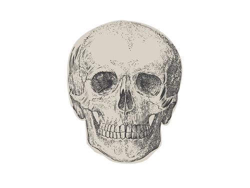 Czacha papírszalvéta - 16 x 16 cm - 16 db.