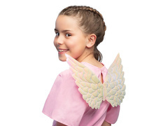 Gyöngyház angyalszárnyak - 23 x 45 cm - 1 db.