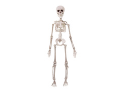 Akasztós dekoráció Csontváz - 50 cm - 1 db.