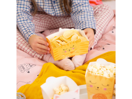 Macskák chipses doboza - 3 db.