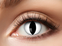 Black Cat kontaktlencse - 7 nap