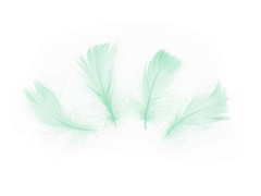 Dekoratív zöld rövid tollak - 50 db.