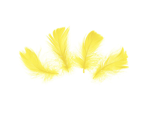 Dekoratív sárga rövid tollak - 50 db.