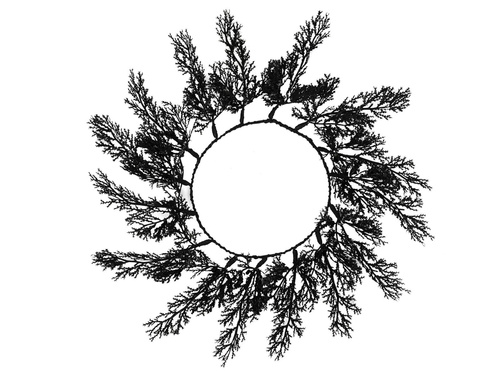 Tányéralapok fekete ágakkal - 40 cm - 4 db.