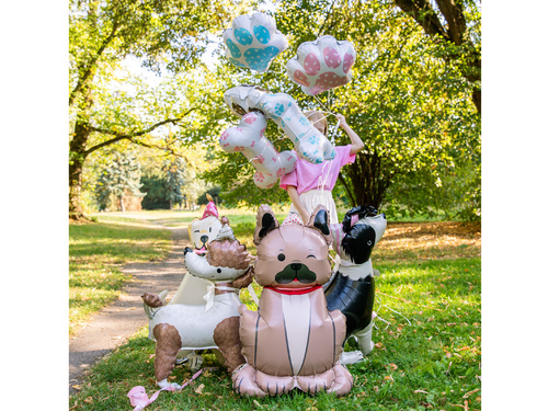 Border Collie kutya álló fólialufi - 76x92 cm - 1 db.