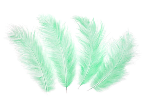 Dekoratív zöld hosszú tollak - 50 db.