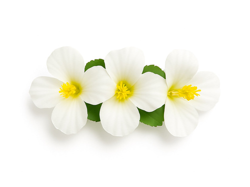 Hawaii virágos kitűző fehér - 1 db.