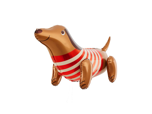 Fólialufi tacskó - 68 x 43 cm - 1 db.