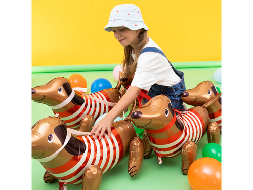 Fólialufi tacskó - 68 x 43 cm - 1 db.